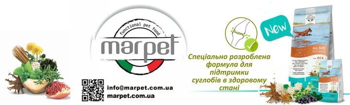 3 Подвійний банер 715 х 432 (1)